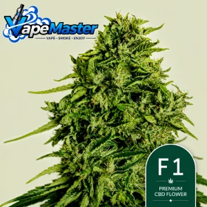Cosmos F1 CBD Auto (Royal Queen Seeds) feminized