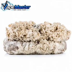 Ready-2-Grow Bag 'Enigma' Zamnesia