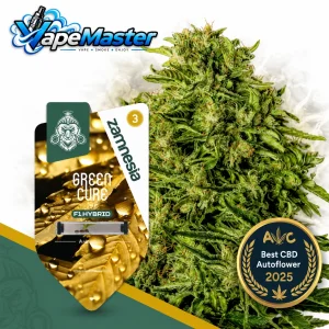 Green Cure CBD F1 Auto (Zamnesia Seeds) feminized