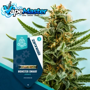 Monster Dwarf Auto (Zamnesia Seeds) feminized