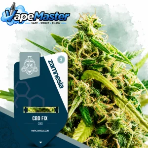 CBD Fix (Zamnesia Seeds) feminized