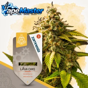 Lava Cake Auto (Zamnesia Seeds) feminized
