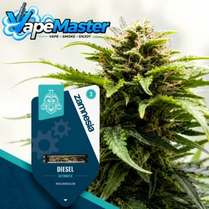 Diesel Auto (Zamnesia Seeds) feminized