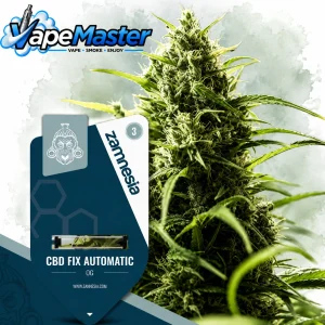 CBD Cannabis Seeds