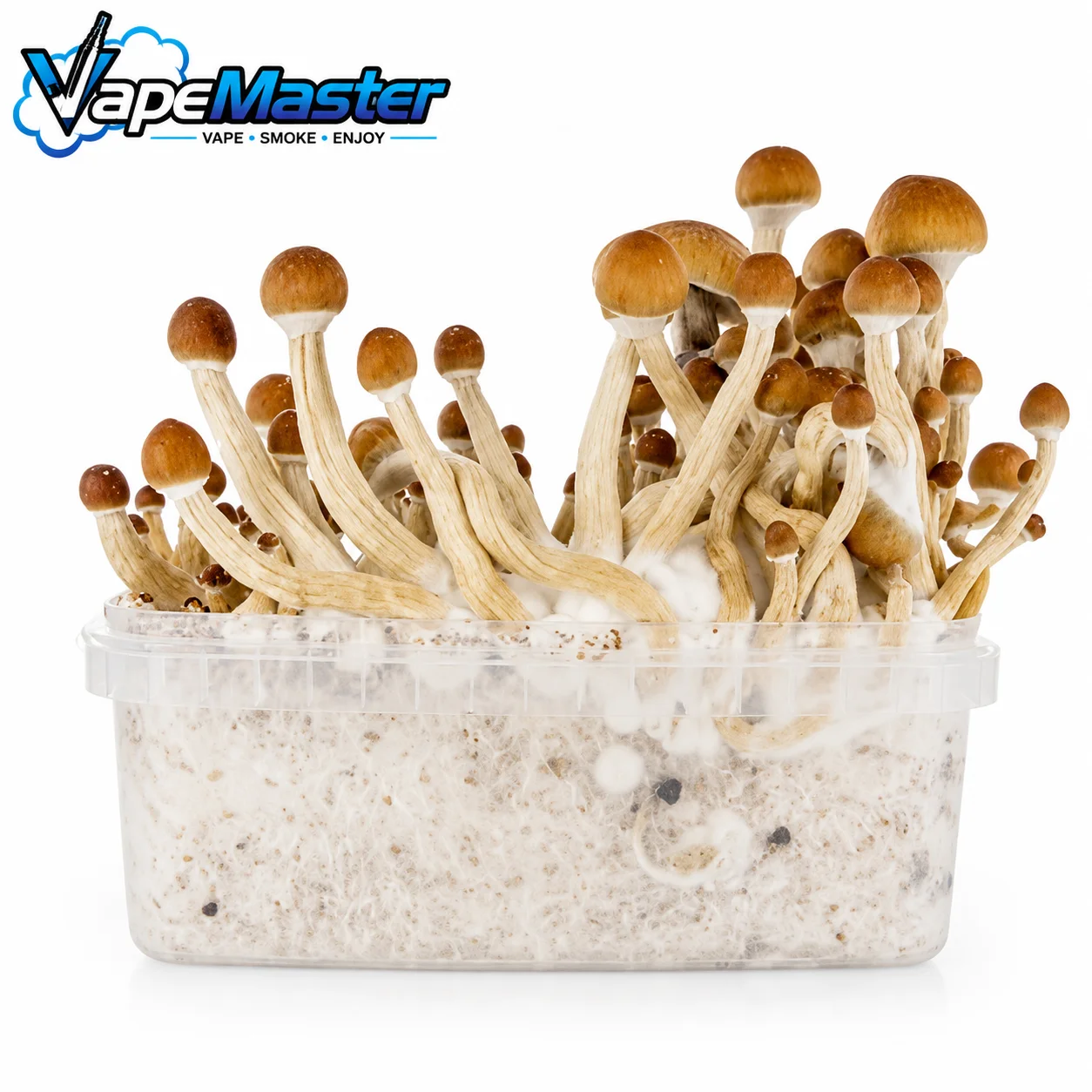 Zamnesia SUPREME 'McKennaii' Grow Kit
