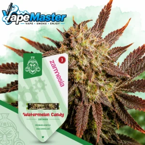 Watermelon Candy Auto (Zamnesia Seeds) feminized