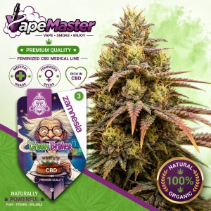 Chem Brulee Auto (Zamnesia Seeds) feminized