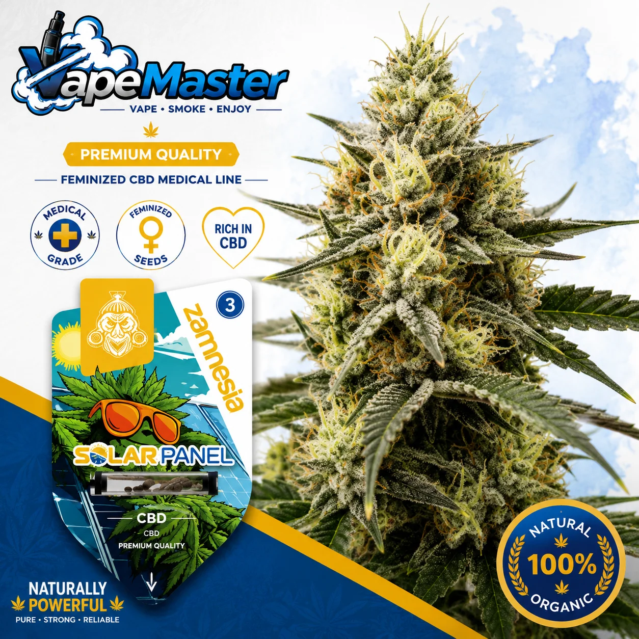 Solar Panel (Zamnesia Seeds) feminized