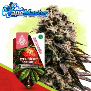 Strawberry Cough Auto (Zamnesia Seeds) feminized