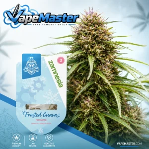 Frosted Guava Auto (Zamnesia Seeds) féminisée