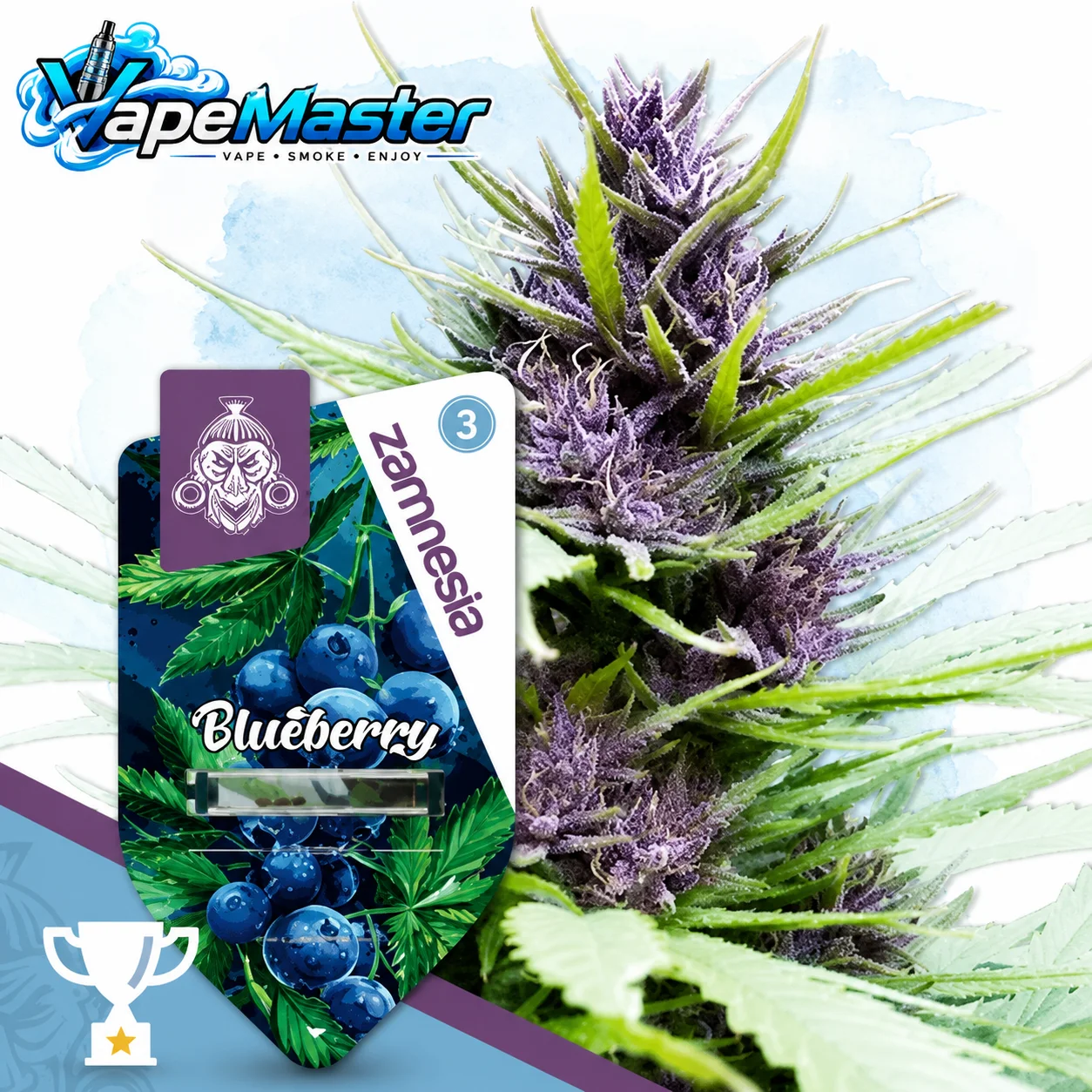 Blueberry Auto (Zamnesia Seeds) feminized