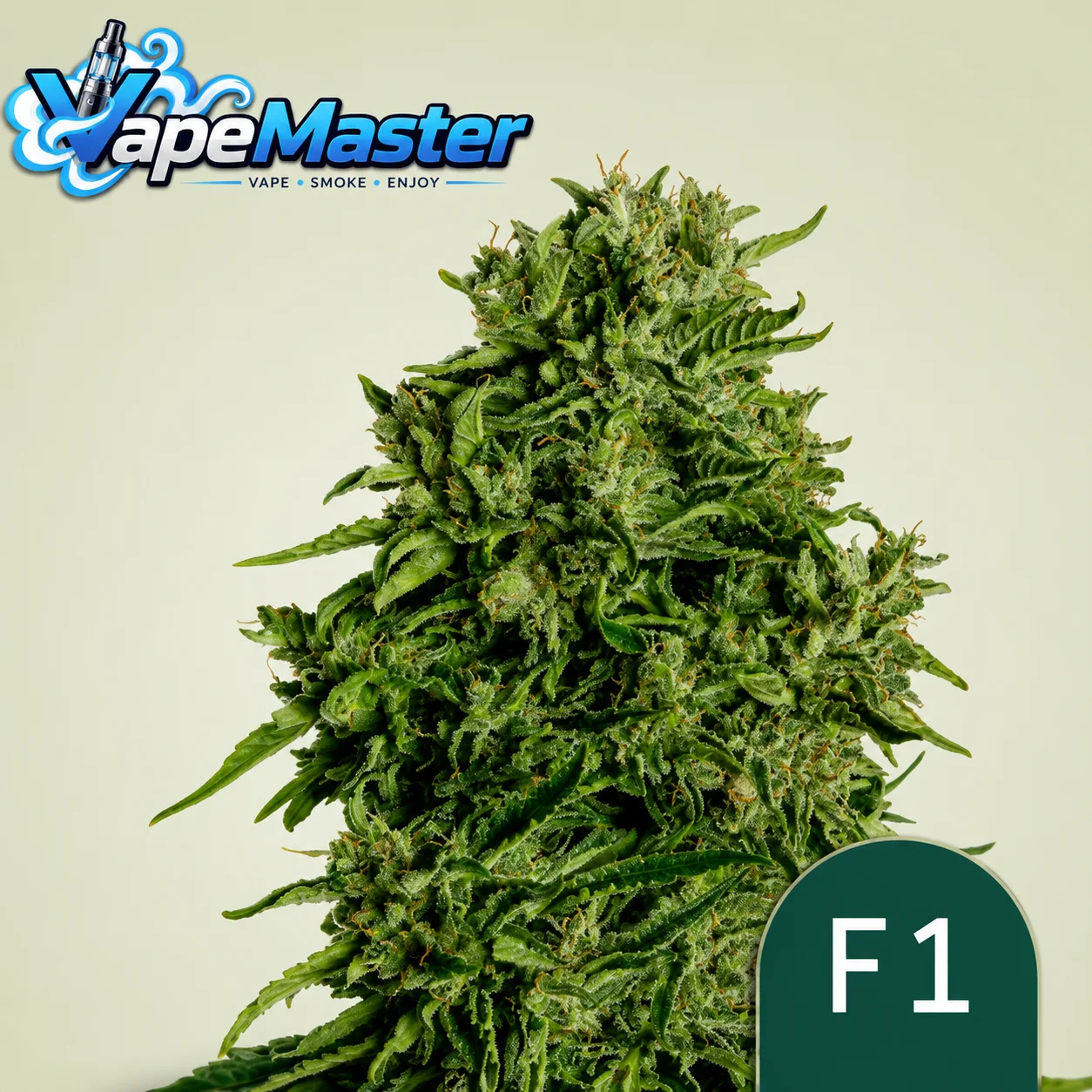 Cosmos F1 CBD Auto (Royal Queen Seeds) feminized