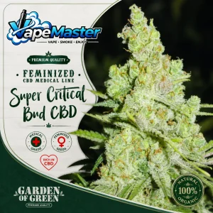 2046 (Medical Seeds) féminisée
