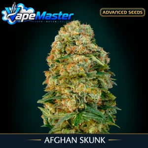 Afghan Skunk (Advanced Seeds) féminisée