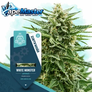 White Monster Auto (Zamnesia Seeds) feminized