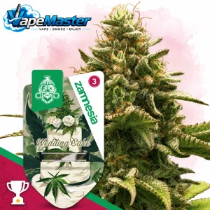 Wedding Cake Auto (Zamnesia Seeds) feminized