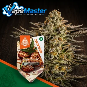 Apple Fritter (Zamnesia Seeds) feminized