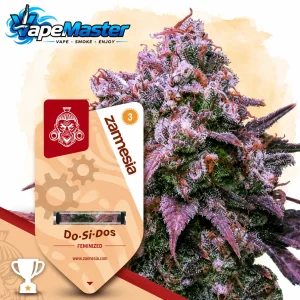 Do-Si-Dos Auto (Zamnesia Seeds) feminized